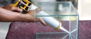 بوی بد چسب آکواریوم