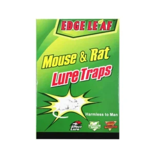 چسب کتابی موش تله موش کتابی