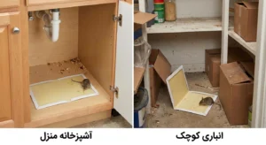 چسب موش کتابی و پمادی